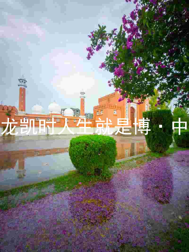 尊龙凯时人生就是博·中国