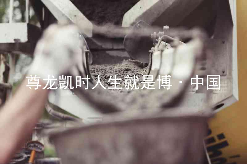 尊龙凯时人生就是博·中国